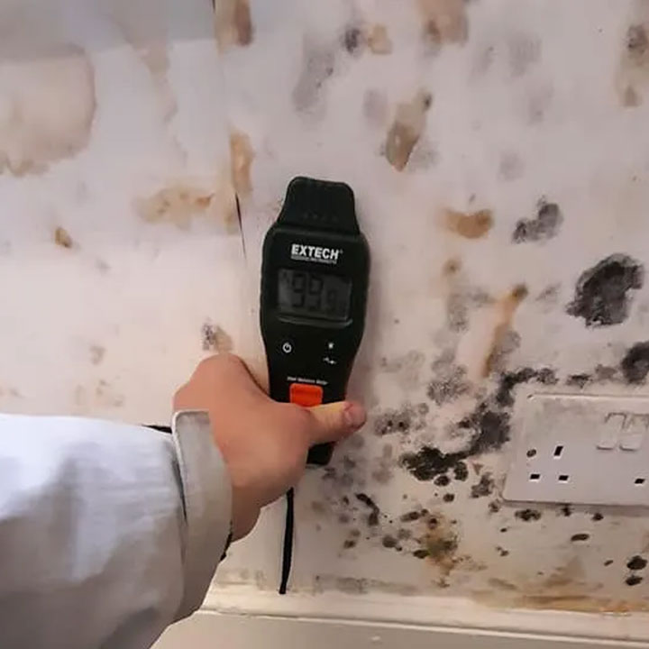 Damp Surveys & Advanced Diagnostics
