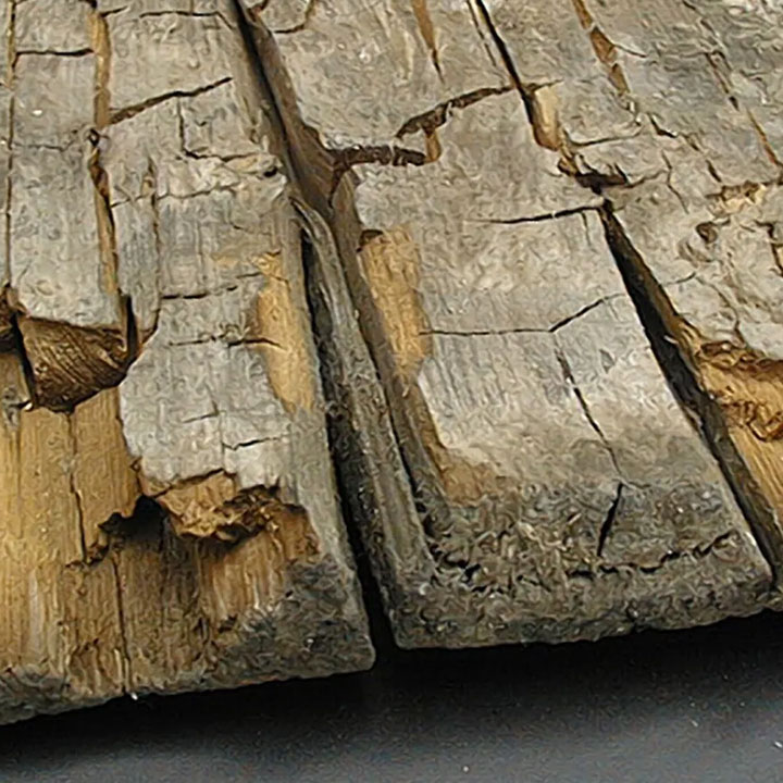Dry Rot Eradication & Timber Repairs