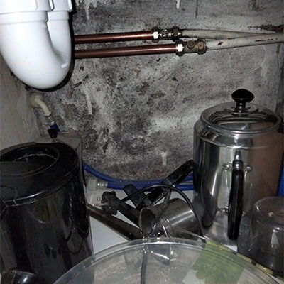 Woodworm Timber Eradication Spraying