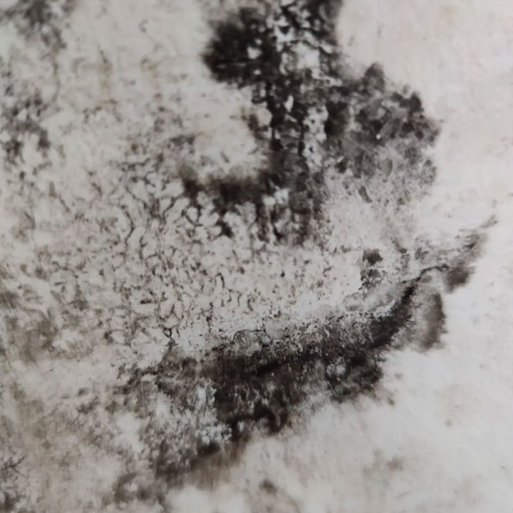 Rising Damp Treatment & DPC Solutions