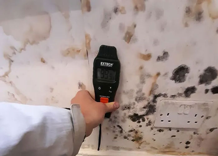 Rising Damp